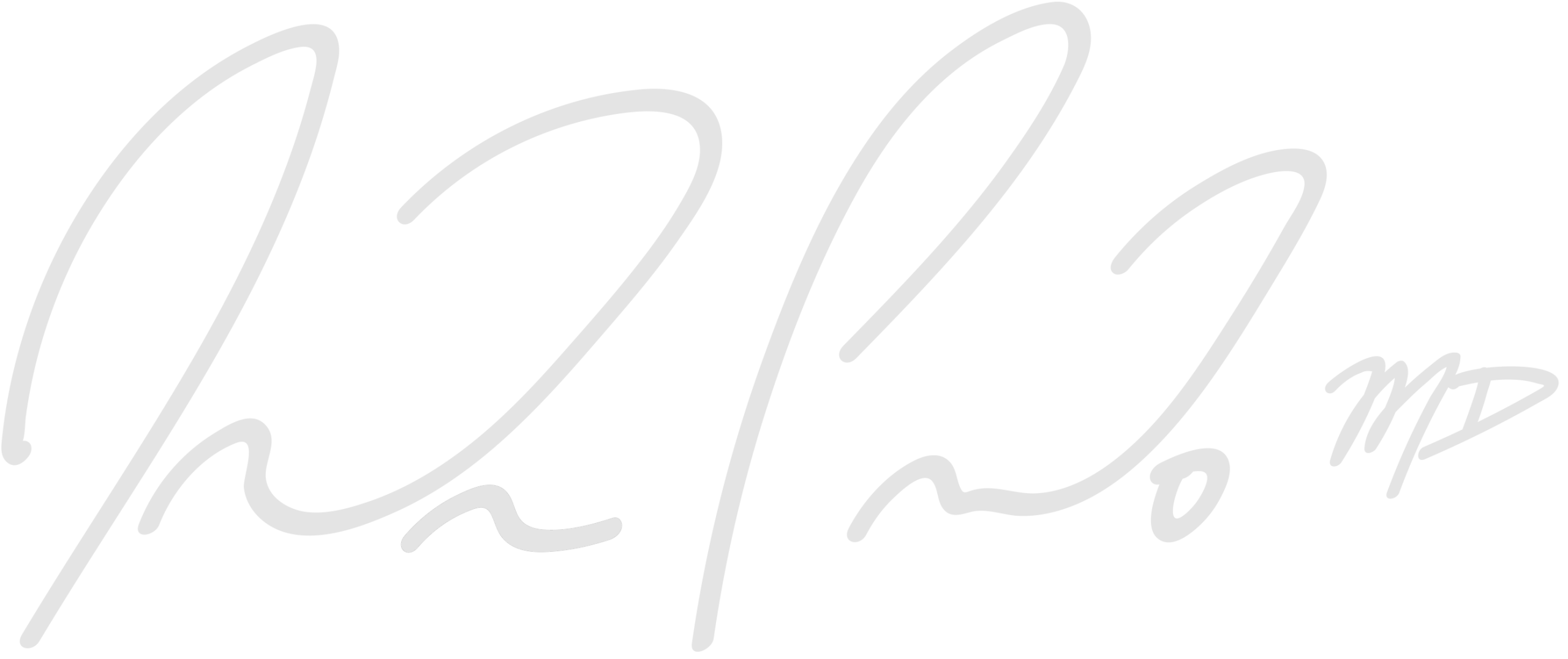 sig_logo